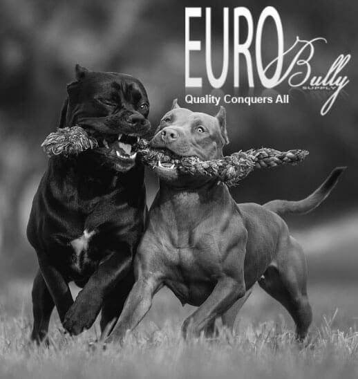 Eurobullysupply site image Title 310 Eurobullysupply dog collars, y-harnesses, lines and supplements