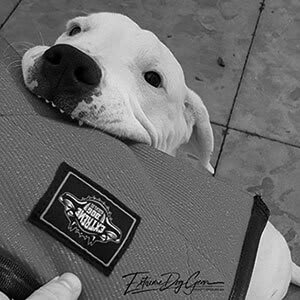 Eurobullysupply site image Title 315 trainingsaccessoires, bijtrollen, solo tugger